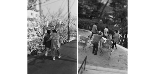 <strong>写心気 212</strong> Photo by 立木義浩