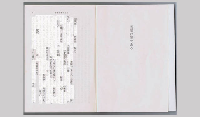 <strong>特集｜OPENERS的ニッポンの若手建築家 PARTII　長坂 常</strong>　Sayama Flat Concept drawing（2008年）