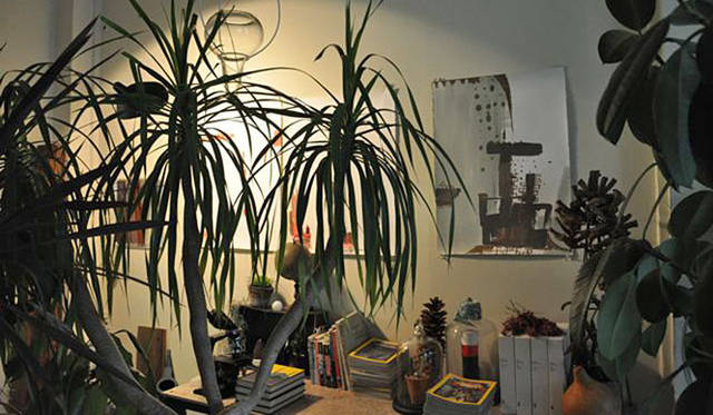 <b>塚田有一│みどりの触知学</b>　「リムグリーン」リスタート＆リムグリーン的東方学「その1 七夕」開催