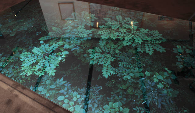 <strong>more trees × LOUIS VUITTON｜「ルイ・ヴィトンの森」の四季を写した写真展</strong>