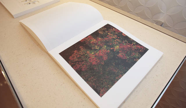 <strong>more trees × LOUIS VUITTON｜「ルイ・ヴィトンの森」の四季を写した写真展</strong>