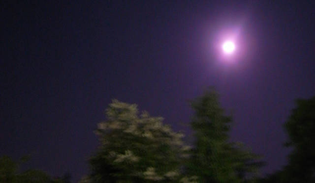 <strong>生方ななえ｜「夢の話」</strong>