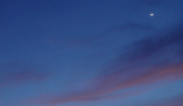 <strong>生方ななえ｜「夢の話」</strong>