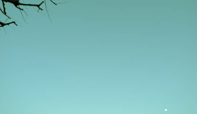 <strong>生方ななえ｜「夢の話」</strong>