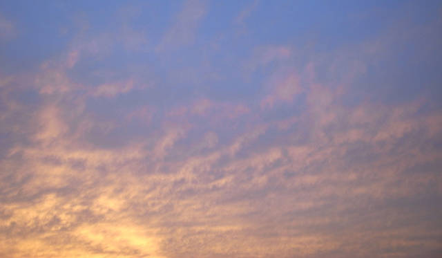 <strong>生方ななえ｜「夢の話」</strong>