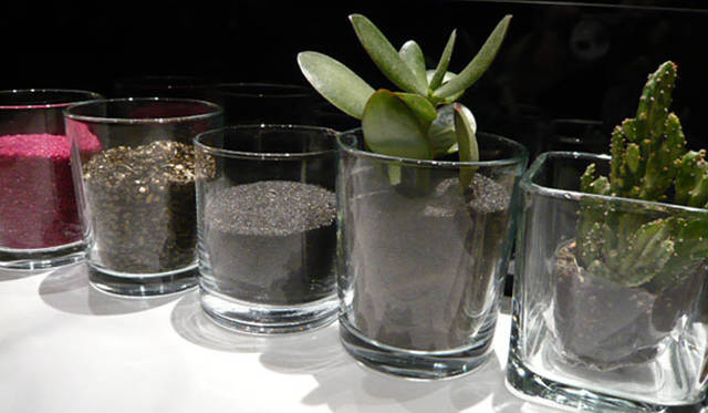 <strong>伊勢丹｜イセタンメンズ レジデンス</strong>　＜ニコライバーグマン＞ 鉢物パターンオーダーフェア 