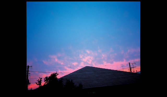 <strong>ヨコハマトリエンナーレ2011　OUR MAGIC HOUR－世界はどこまで知ることができるか？－</strong><br>ARAKI Nobuyoshi ≪Koki No Shashin : Photographs of A Seventy Year Old≫ 2010<br>Courtesy of Taka Ishii Gallery