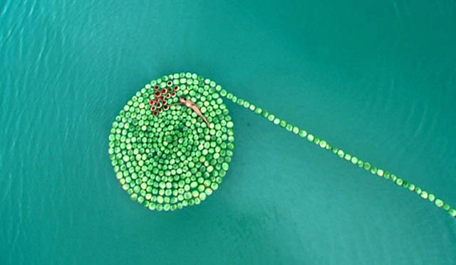 <strong>ヨコハマトリエンナーレ2011　OUR MAGIC HOUR－世界はどこまで知ることができるか？－</strong><br>Sigalit LANDAU ≪DeadSee≫ 2005<br>©Sigalit Landau<br>Courtesy the artist and kamel mennour, Paris