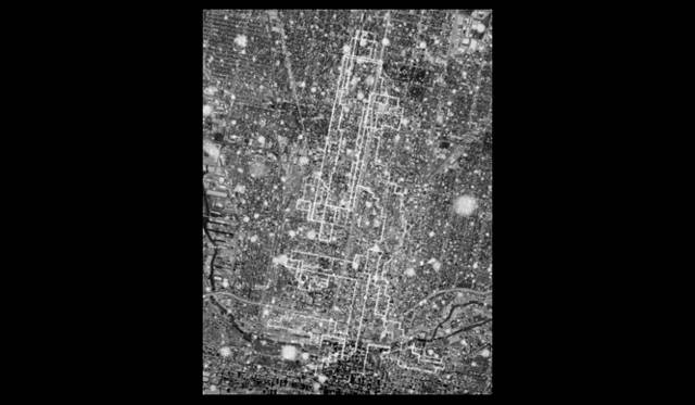 <strong>ヨコハマトリエンナーレ2011　OUR MAGIC HOUR－世界はどこまで知ることができるか？－</strong><br>Jun NGUYEN-HATSUSHIBA ≪Breathing is Free: 12,756.3 - Chicago Microscope (A Selfportrait), 88.5km≫ 2010<br>Courtesy the artist and Mizuma Art Gallery