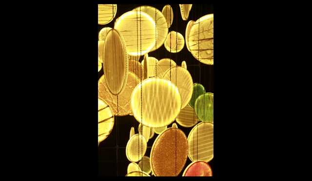 <strong>WAO～記憶の森～</strong>　堀木エリ子「愛でるあかり――Moon」