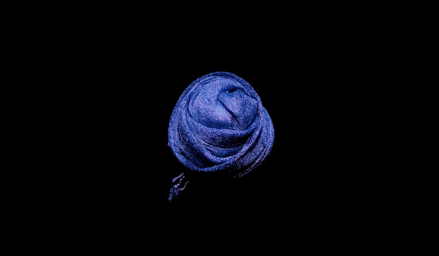 <strong>WAO～記憶の森～</strong>　Tatz Miki「LES BLEUS」