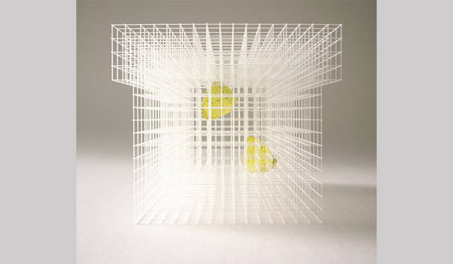 <strong>特集｜OPENERS的ニッポンの若手建築家 PARTII　中村竜治</strong>　『insect cage』（2008年） Photo by Ryuji Nakamura