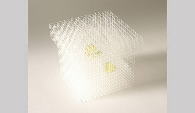 <strong>特集｜OPENERS的ニッポンの若手建築家 PARTII　中村竜治</strong>　『insect cage』（2008年） Photo by Ryuji Nakamura