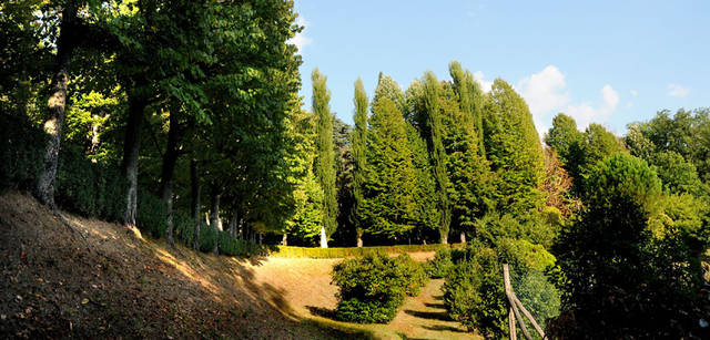 <strong>SANGEMINI｜サンジェミニ</strong>　親水公園の周辺は多くの自然が残され、野生の鹿をみることもあります。その水源は徹底した環境保全のもと、120年にわたり守りつづけられています。