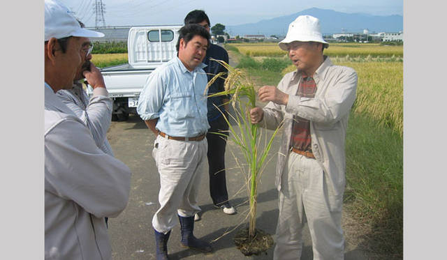 <strong>和醸和楽｜泉橋酒造</strong>　さがみ酒米研究会の様子