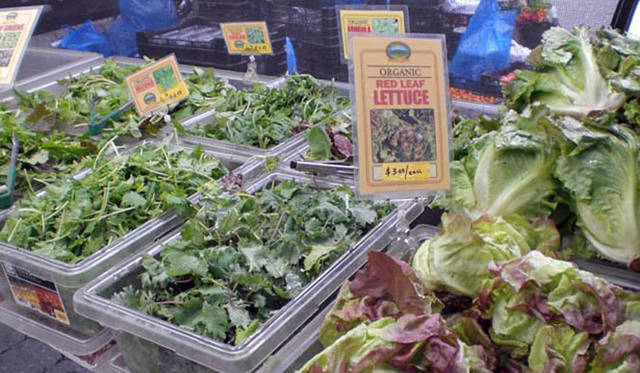 <strong>Munemi｜Munemi meet Rajaa Chbani</strong>　Union Sq Greenmarket