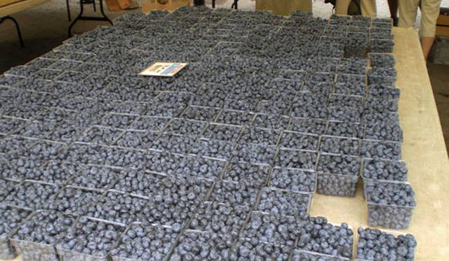 <strong>Munemi｜Munemi meet Rajaa Chbani</strong>　Union Sq Greenmarket