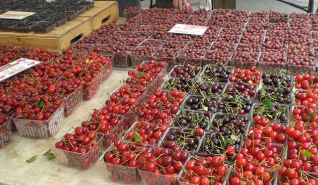 <strong>Munemi｜Munemi meet Rajaa Chbani</strong>　Union Sq Greenmarket