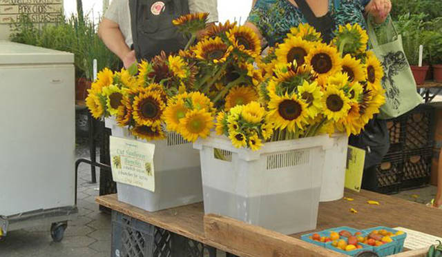 <strong>Munemi｜Munemi meet Rajaa Chbani</strong>　Union Sq Greenmarket