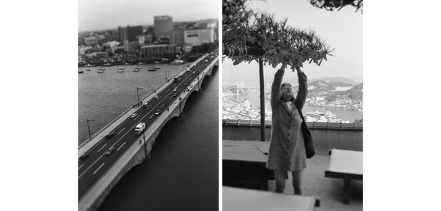 <strong>写心気 214</strong> Photo by 立木義浩