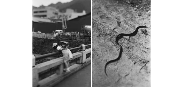 <strong>写心気 218</strong> Photo by 立木義浩