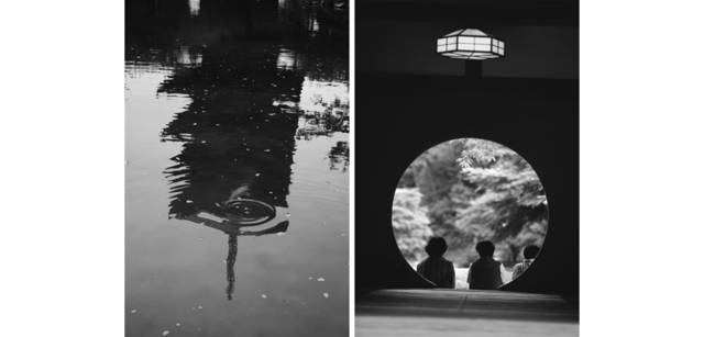 <strong>写心気 221</strong> Photo by 立木義浩