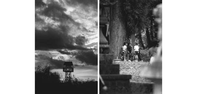 <strong>写心気 223</strong> Photo by 立木義浩