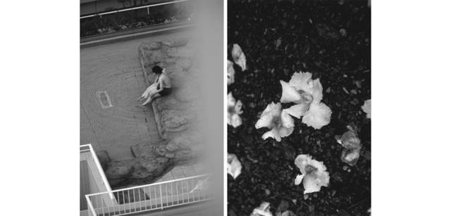 <strong>写心気 224</strong> Photo by 立木義浩