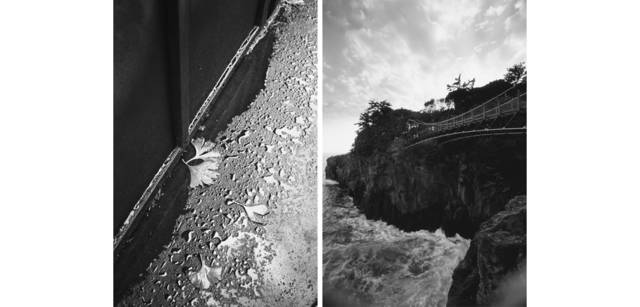 <strong>写心気 226</strong> Photo by 立木義浩