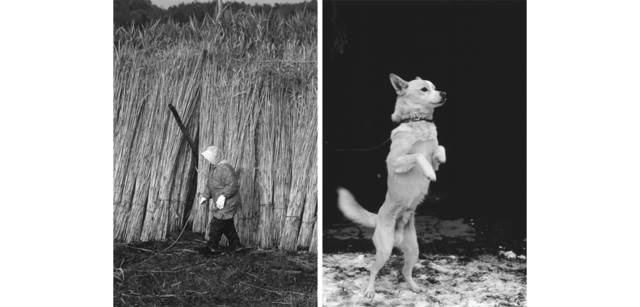 <strong>写心気 227</strong> Photo by 立木義浩