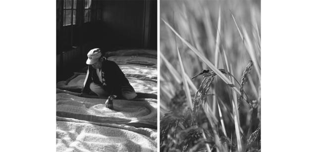 <strong>写心気 228</strong> Photo by 立木義浩