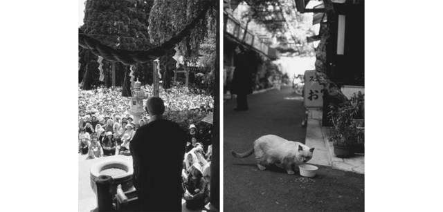 <strong>写心気 229</strong> Photo by 立木義浩