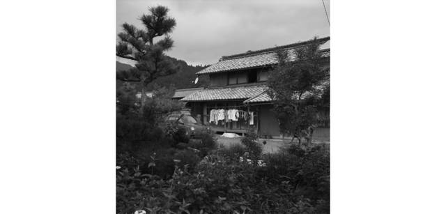 <strong>写心気 235</strong> Photo by 立木義浩