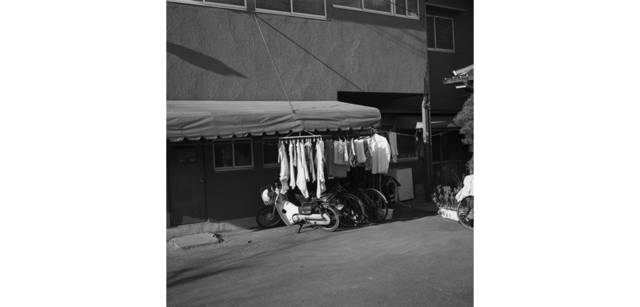 <strong>写心気 236</strong> Photo by 立木義浩