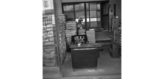 <strong>写心気 237</strong> Photo by 立木義浩