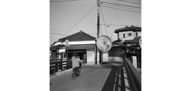 <strong>写心気 238</strong> Photo by 立木義浩