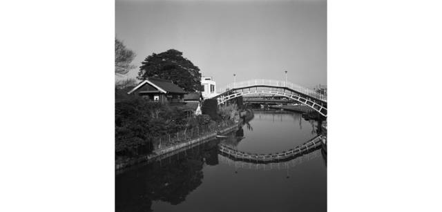 <strong>写心気 239</strong> Photo by 立木義浩