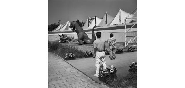 <strong>写心気 241</strong> Photo by 立木義浩