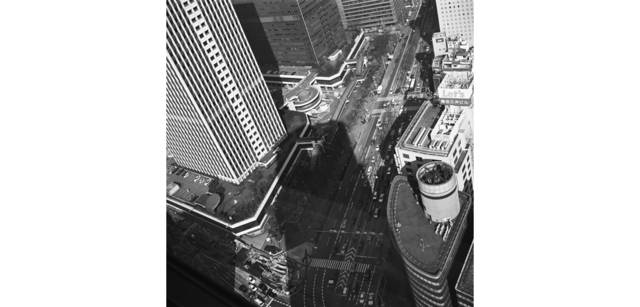 <strong>写心気 242</strong> Photo by 立木義浩