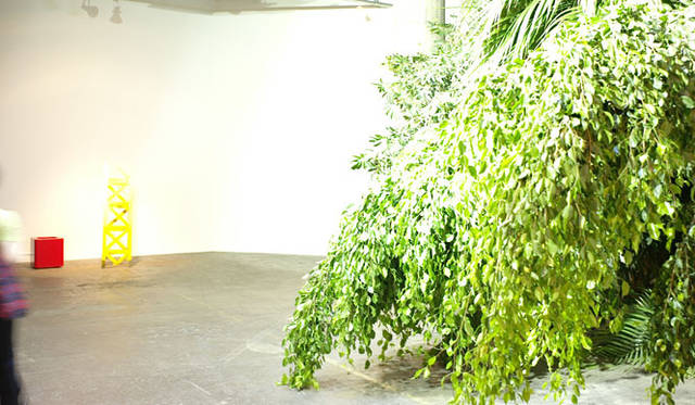 <strong>ヨコハマトリエンナーレ2011</strong>　ヘンリック・ホーカンソン 「倒れた森」