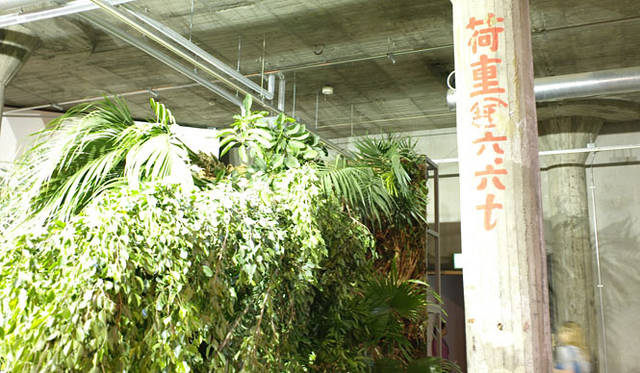 <strong>ヨコハマトリエンナーレ2011</strong>　ヘンリック・ホーカンソン 「倒れた森」