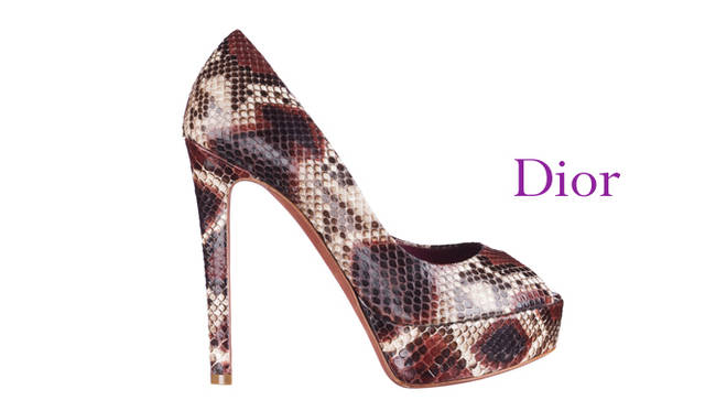 <strong>特集｜2011-12年秋冬トレンドシューズはこれ！　Chapter 03：Exotic Leather<br /><br />Dior｜ディオール</strong>　パンプス [H 12.5cm]　9万2400円　（ディオール／クリスチャン ディオール　Tel. 03-3263-2266）