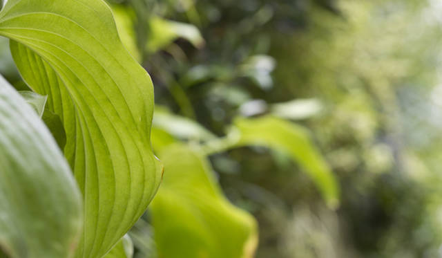 <strong>CoSTUME NATIONAL｜コスチューム・ナショナル</strong>