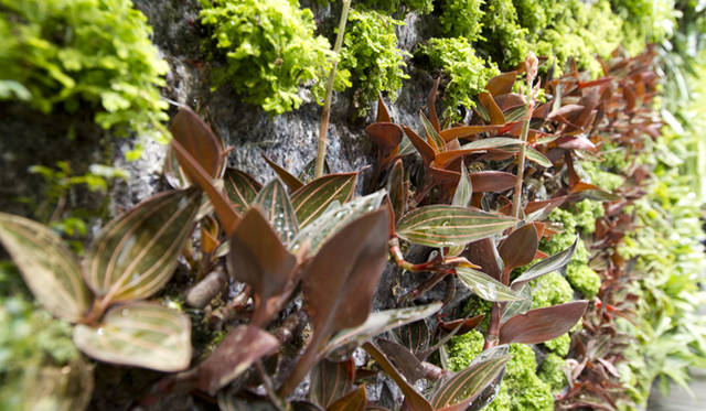 <strong>CoSTUME NATIONAL｜コスチューム・ナショナル</strong>