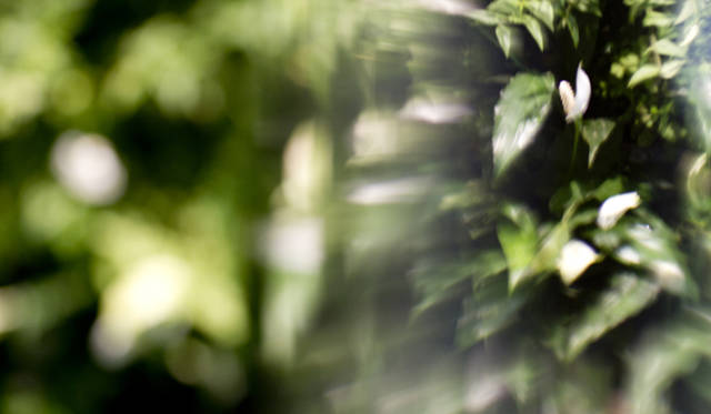 <strong>CoSTUME NATIONAL｜コスチューム・ナショナル</strong>