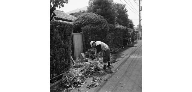 <strong>写心気 252</strong> Photo by 立木義浩