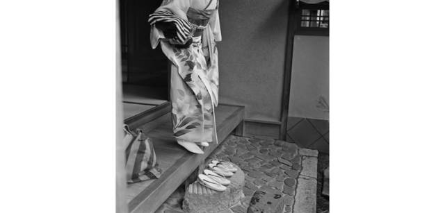 <strong>写心気 254</strong> Photo by 立木義浩