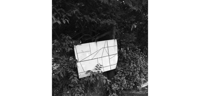 <strong>写心気 256</strong> Photo by 立木義浩