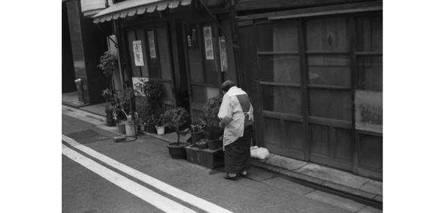 <strong>写心気 263</strong> Photo by 立木義浩