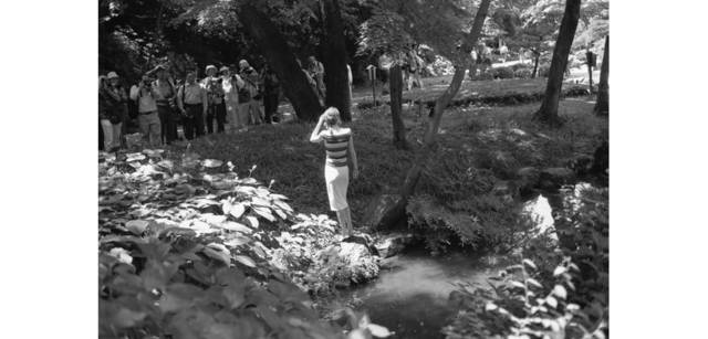 <strong>写心気 265</strong> Photo by 立木義浩